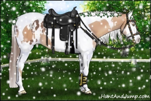 Horse Color:Gold Champagne Splash Tobiano and Bay Splash Tobiano Blanket