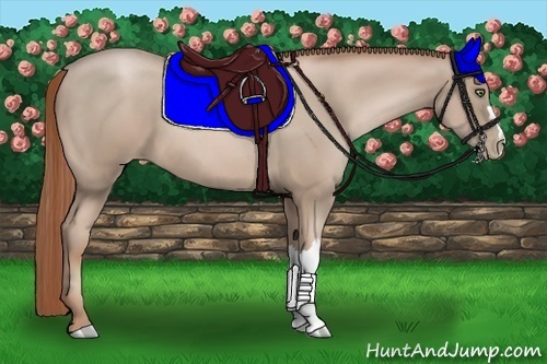 Horse Color:Smoky Black Pearl 