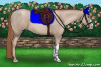 Horse Color:Smoky Black Pearl 