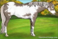Horse Color:Silver Black Frame Appaloosa