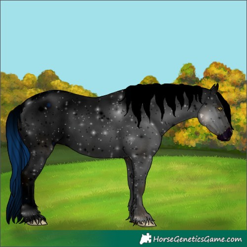 Horse Color:ERROR: UNKNOWN ANOMALY