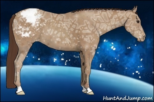 Horse Color:Classic Champagne Ice Appaloosa 