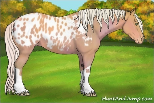 Horse Color:Watercolor Silver Sable Champagne Tobiano Appaloosa 
