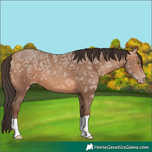 Horse Color:Amber Champagne Ice 