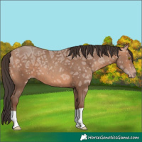 Horse Color:Amber Champagne Ice