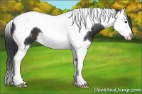 Horse Color:Brown Splash Tobiano 