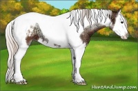 Horse Color:Silver Brown Ice Onyx Sabino Splash Tobiano Appaloosa 