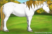 Horse Color:Painted Black Ice Sabino Appaloosa 