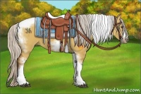 Horse Color:Silver Bay Dun Sabino Tobiano Frame Rabicano 