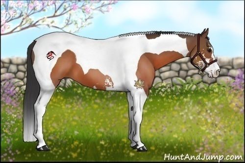 Horse Color:Brown Sabino Tobiano