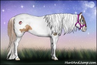 Horse Color:White Spotted Brown Pearl Splash Tobiano