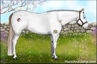 Horse Color:Brown Pearl Dun Splash Tobiano 