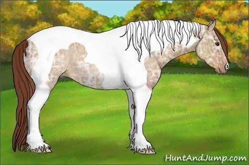 Horse Color:Red Dun Ice Tobiano Rabicano 
