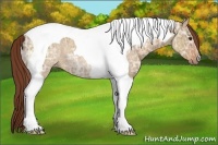 Horse Color:Red Dun Ice Tobiano Rabicano