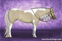 Horse Color:Silver Smoky Grullo Tobiano Rabicano