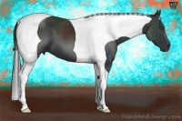 Horse Color:Black Tobiano Frame 