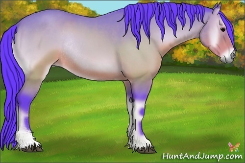 Horse Color:Watercolor Brown Onyx Sabino Rabicano 