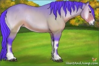 Horse Color:Watercolor Brown Onyx Sabino Rabicano