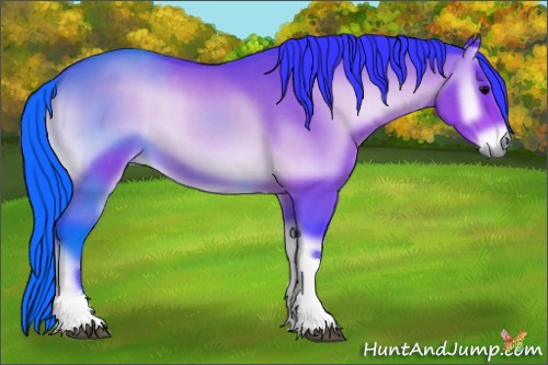 Horse Color:Watercolor Bay Onyx Tobiano 