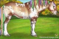 Horse Color:Painted White Spotted Silver Bay Onyx Splash