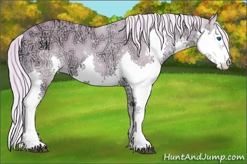 Horse Color:Watercolor Palomino Ice Splash