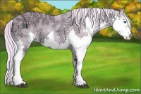 Horse Color:Watercolor Palomino Ice Splash 