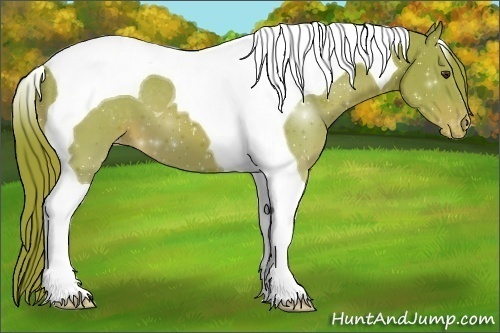 Horse Color:Watercolor Chestnut Tobiano Appaloosa 