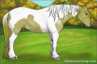 Horse Color:Watercolor Chestnut Tobiano Varnish 
