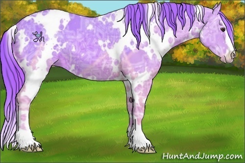 Horse Color:Watercolor White Spotted Chestnut Ice Sabino