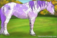 Horse Color:Watercolor White Spotted Chestnut Ice Sabino 