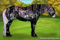 Horse Color:Watercolor White Spotted Palomino Appaloosa  and Watercolor White Spotted Gold Champagne Splash Appaloosa 