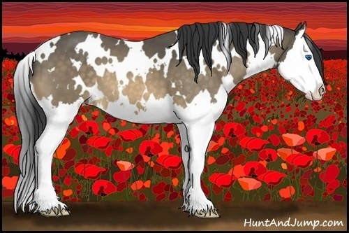 Horse Color:White Spotted Buckskin Splash 