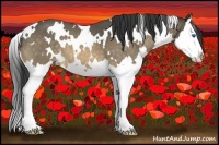 Horse Color:White Spotted Buckskin Splash 