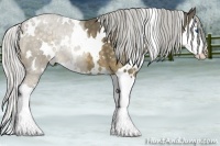 Horse Color:White Spotted Silver Buckskin Splash 