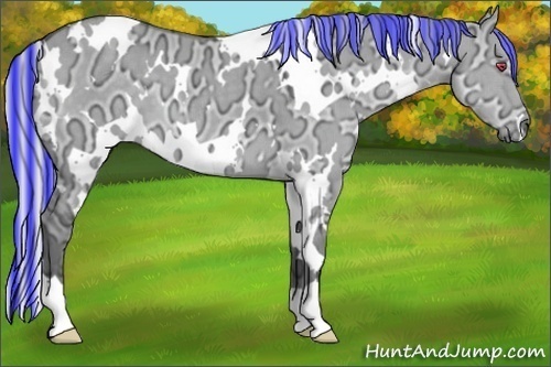 Horse Color:Painted White Spotted Silver Grullo Chinchilla Ice