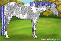 Horse Color:Painted White Spotted Silver Grullo Chinchilla Ice