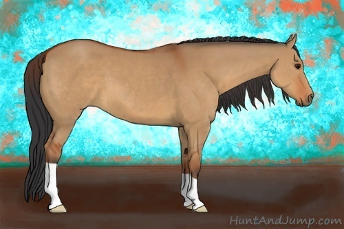Horse Color:Brown Dun
