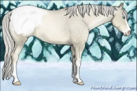 Horse Color:Chocolate Palomino Pearl Mushroom Sabino Varnish 