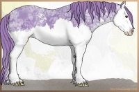 Horse Color:Watercolor White Spotted Liver Chestnut Ice Splash