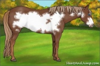 Horse Color:Chestnut Frame