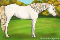 Horse Color:Buckskin Roan Pearl Splash and Buckskin Roan Pearl