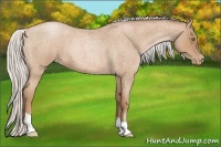 Horse Color:Silver Brown Roan Pearl 