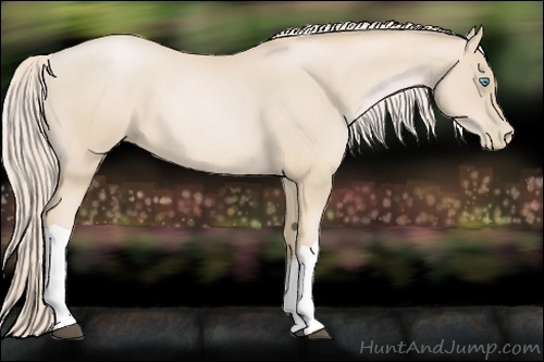 Horse Color:Palomino Roan Pearl