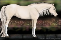 Horse Color:Palomino Roan Pearl 