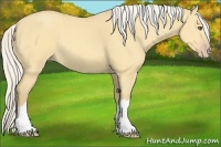 Horse Color:Silver Sable Cream Champagne Dun 