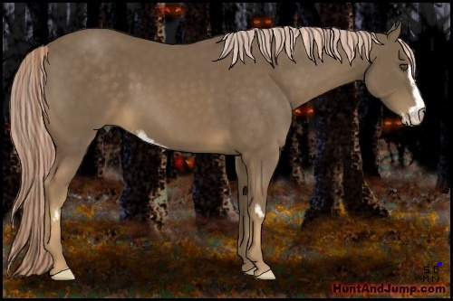 Horse Color:Chocolate Palomino Sabino Frame 