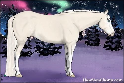 Horse Color:Cremello Sabino 