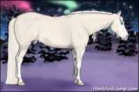 Horse Color:Cremello Sabino