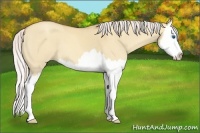 Horse Color:Silver Classic Champagne Roan Dun Splash 