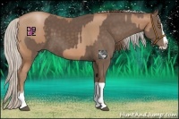 Horse Color:Brown Pearl  and Silver Black Splash 